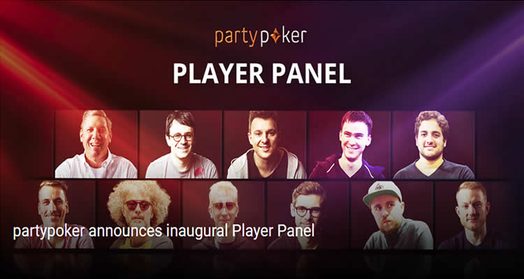 player panel